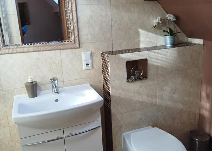 Brzozowe Wzgorze Фермерский дом