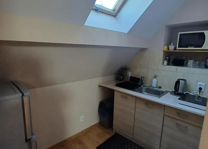 Brzozowe Wzgorze Фермерский дом Wlen